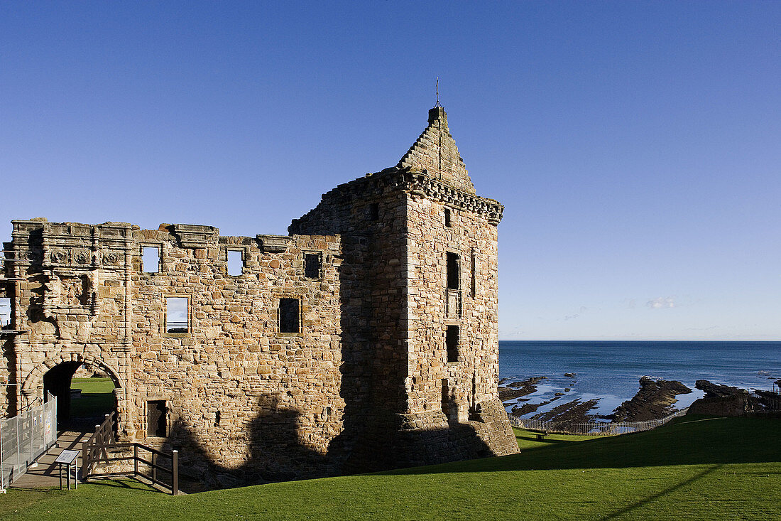 St. Andrews, castle, a fortified bishops home, founded in1200, St Andrews Bay, North Sea, Scotland, UK