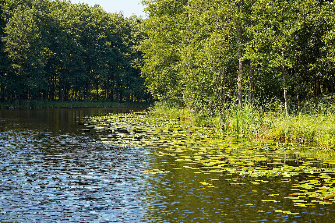 mit dem Hausboot auf den Templiner Gewässern, Rödelinsee, Brandenburg, Deutschland, Europa