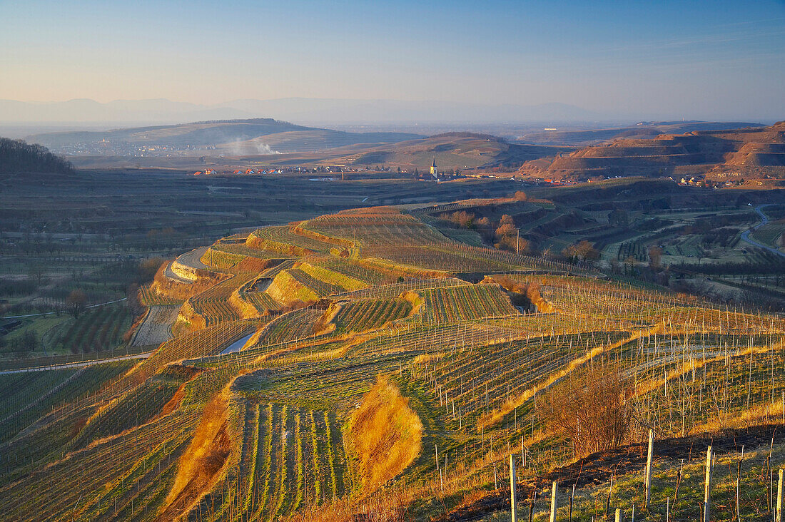 Winter, Oberrotweil und Burkheim mit Vogesen, Kaiserstuhl, Baden-Württemberg, Deutschland, Europa