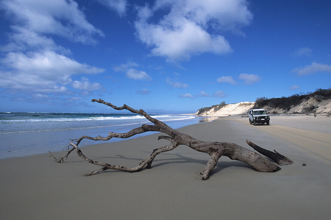 Treibholz und KEA Allrad Camper am Strand, nahe Dilli Village, Fraser Island, Queensland, Australien
