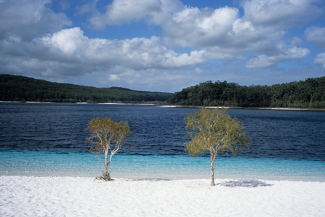 Lake McKenzie See, Fraser Island, Queensland, Australien