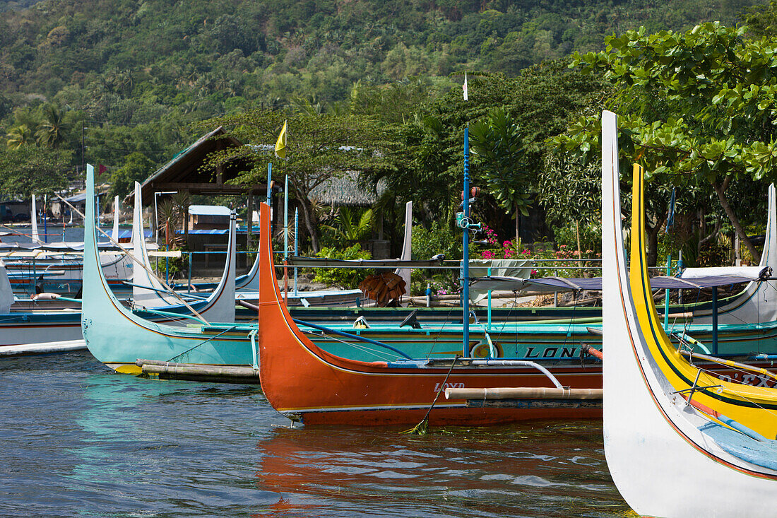 Outriggers on Lake Taal, Philippines