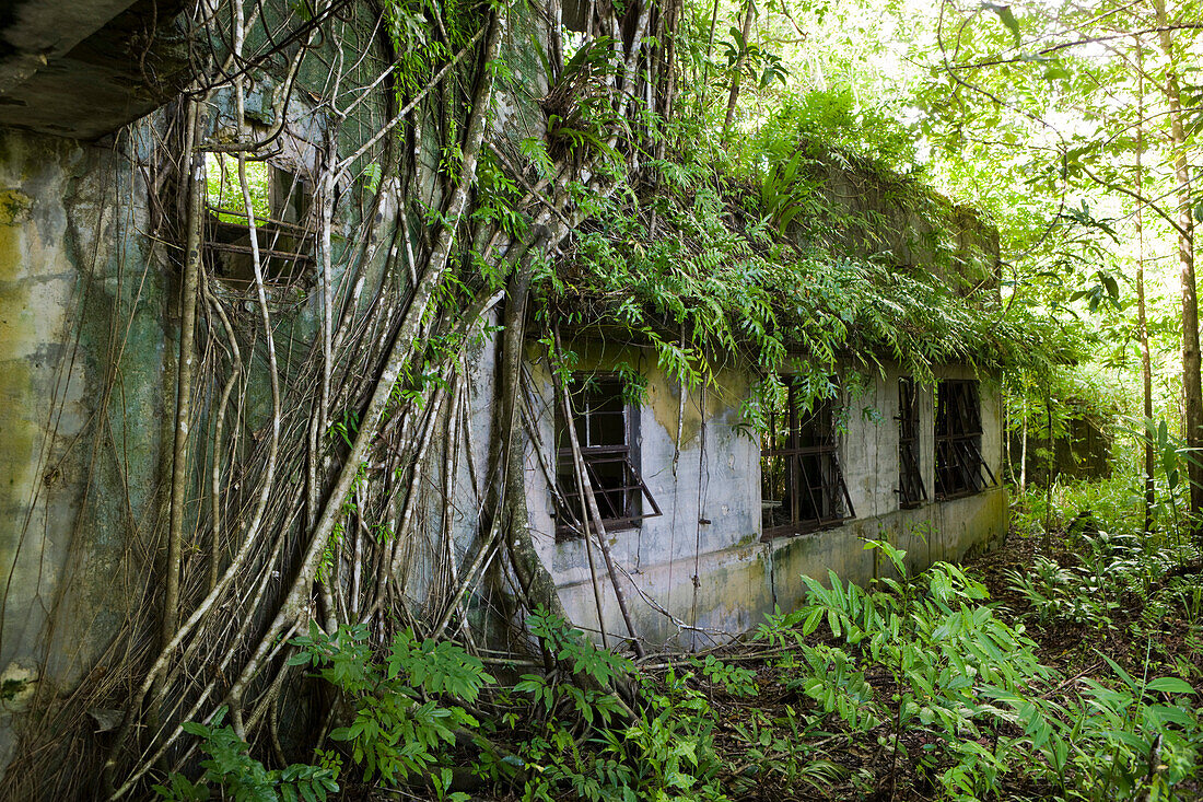 Japanisches Hauptquartier im 2. Weltkrieg, Insel Peleliu Mikronesien, Palau