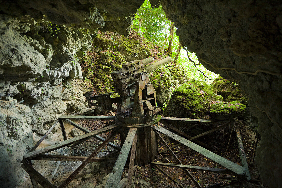 37-mm Geschuetz aus dem 2. Weltkrieg, Mikronesien, Palau