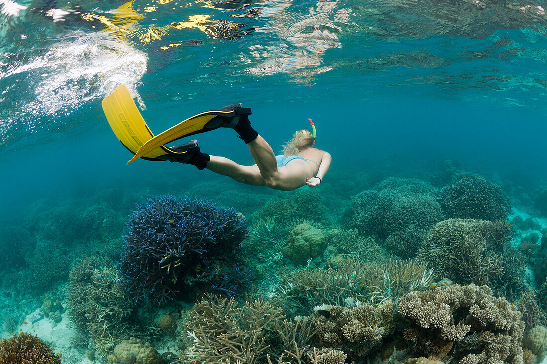 Skin Diving at Palau, Micronesia, Palau