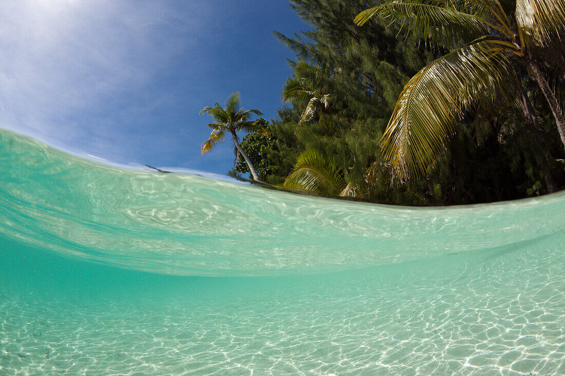 Lagoon and Palm-lined Beach, Micronesia, Palau