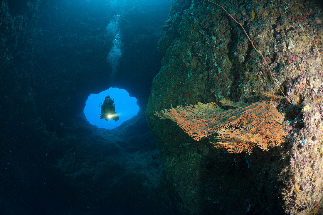 Taucher am oberen Eingang der Blue Hole Unterwasserhoehle, Mikronesien, Palau