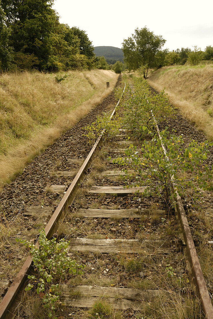 Disused, Germany, Goslar, Harz, Lower, Overgrown, Rail, Railroad, Railway, Saxony, Tracks, L35-809369, agefotostock
