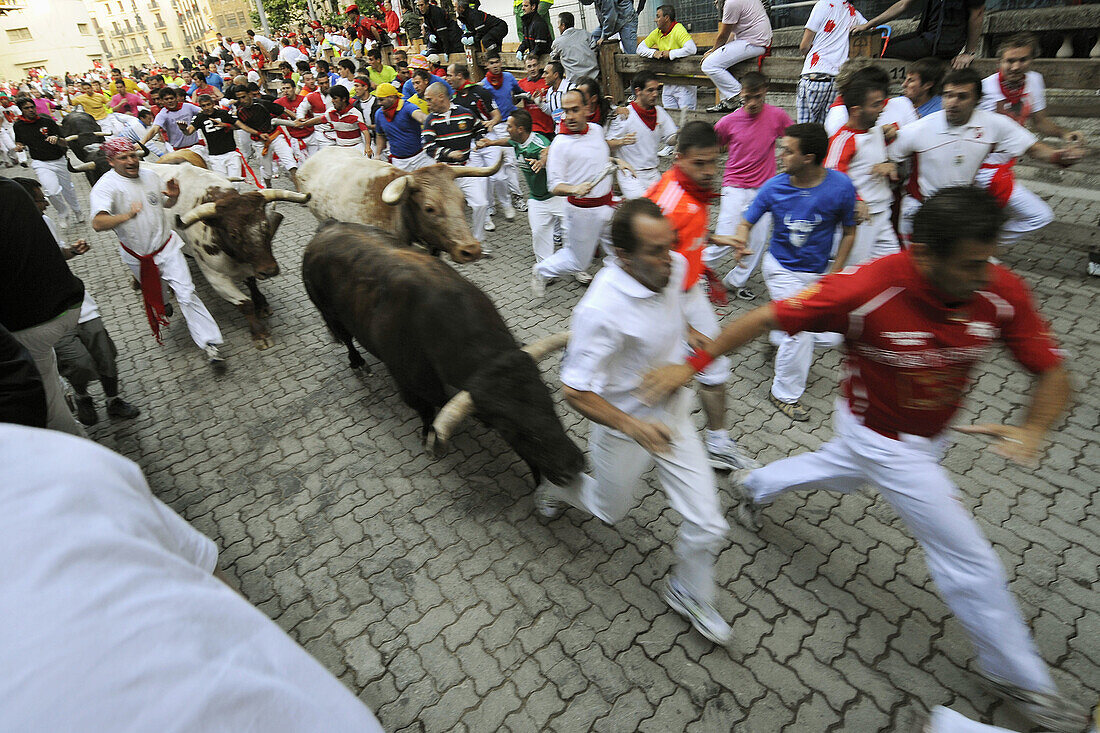 Encierro running of the bulls, San Fermin festival, Pamplona. Navarra, Spain