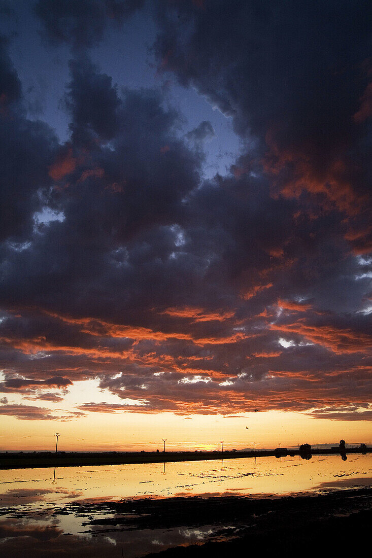 Ebro delta. Tarragona province, Catalonia, Spain