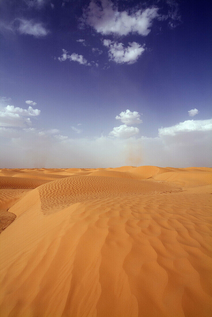 Sahara desert in Douz, Tunisia