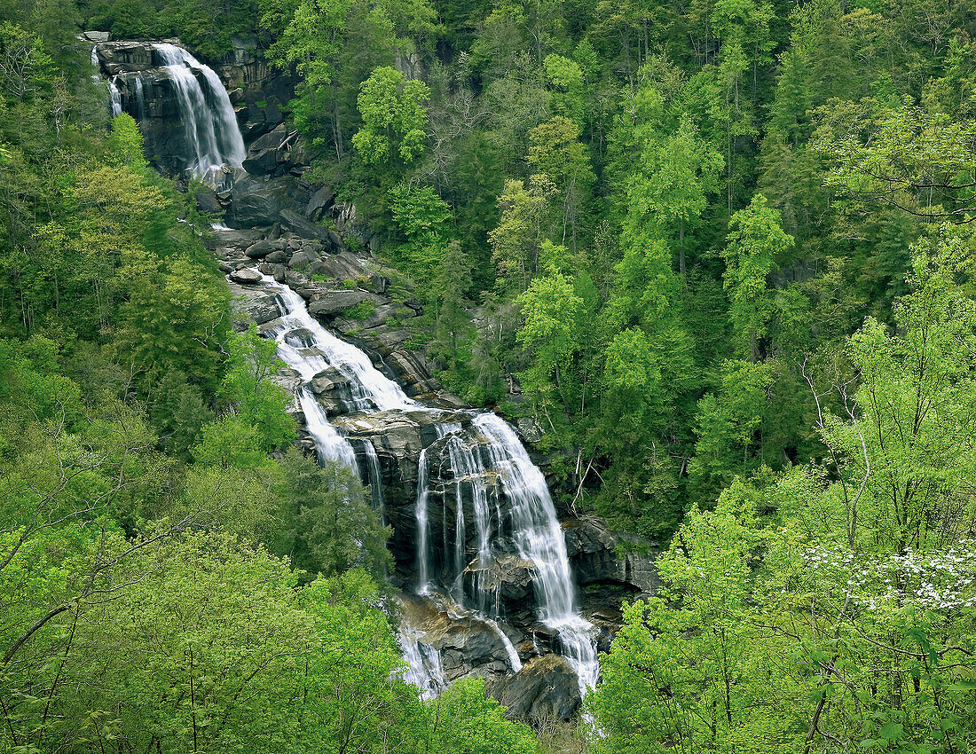 Whitewater Falls in springtime, North Carolina, USA