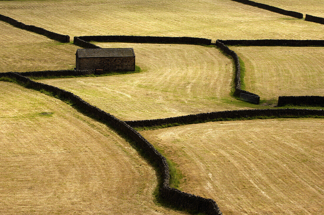 Farm fields and dry stone wall pattern just outside Gunnerside, Swaledale, in Yorkshire, England, UK