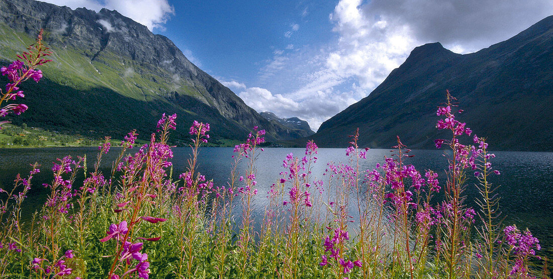 Norway