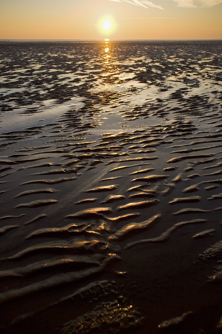 Sunset at the English coast, the weat sand in the foreground is touched with gold and the sun hovers just above the horizon.