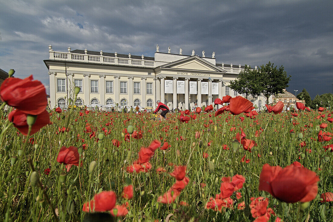 Poppy Field, art installation for the documenta XII, 2007. Field of Papaver rhoeas and Papaver somniferum infront of the museum Fridericianum, 6590 square meter, loud speakers, revolutionary songs, performed vy LeZbor, Kassel, Hesse, Germany
