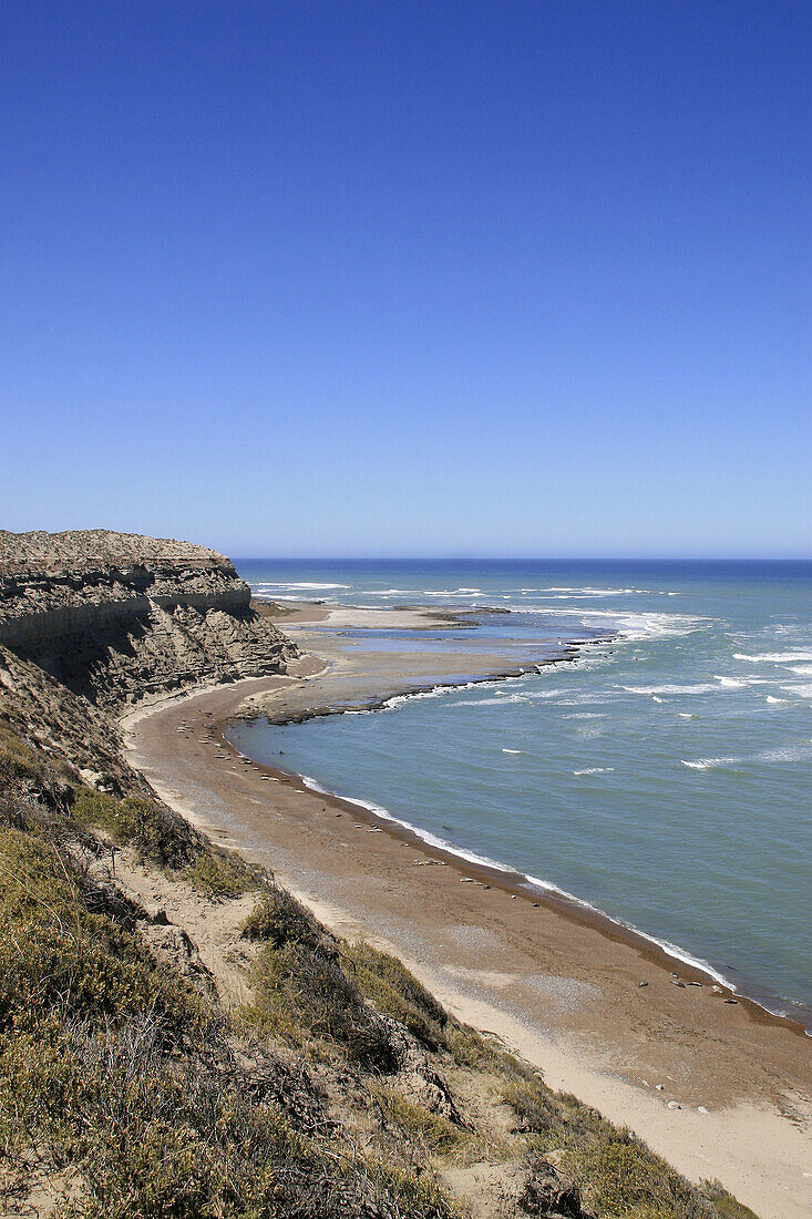 Sea lions on beach, Peninsula Valdes. Argentina