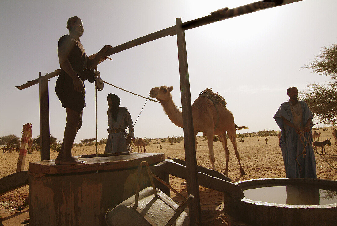 Mauritania, nomads and camels at Diawgui well