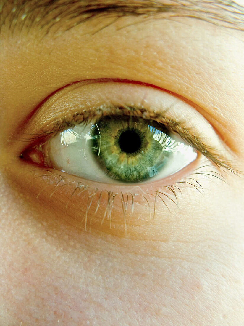 Eye