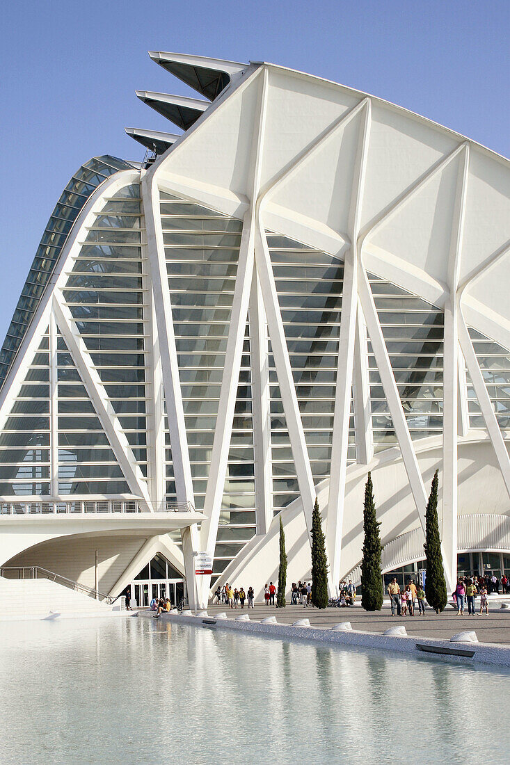 Museo of Sciences Príncipe Felipe, City of Arts and Sciences by S. Calatrava. Valencia, Comunidad Valenciana, Spain