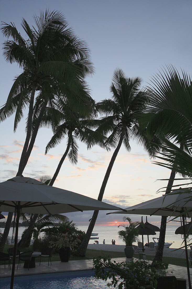 Mauritius, Trou aux Biches, sunset, palms