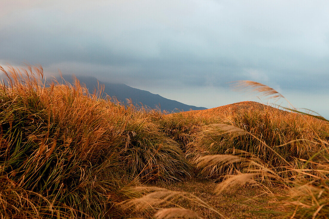 Grassland in Yangmingshan National Park under clouded sky, Taiwan, Asia