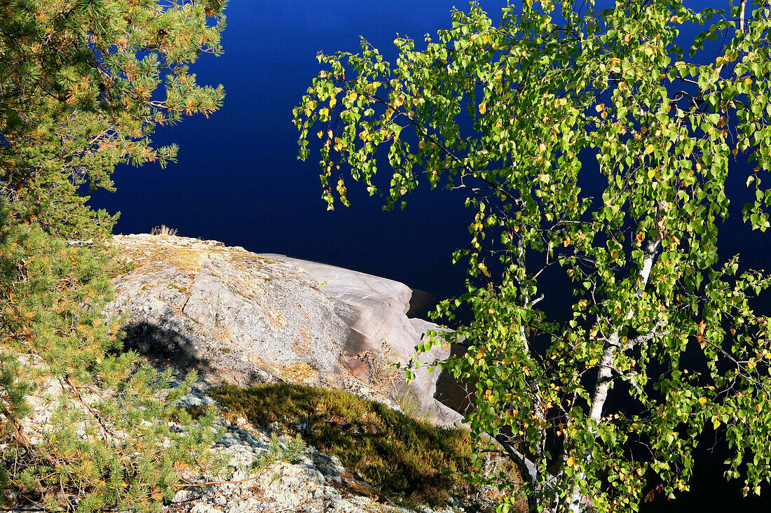 Ufer einer unbewohnten Insel im Sonnenlicht, Saimaa Seenplatte, Finnland, Europa