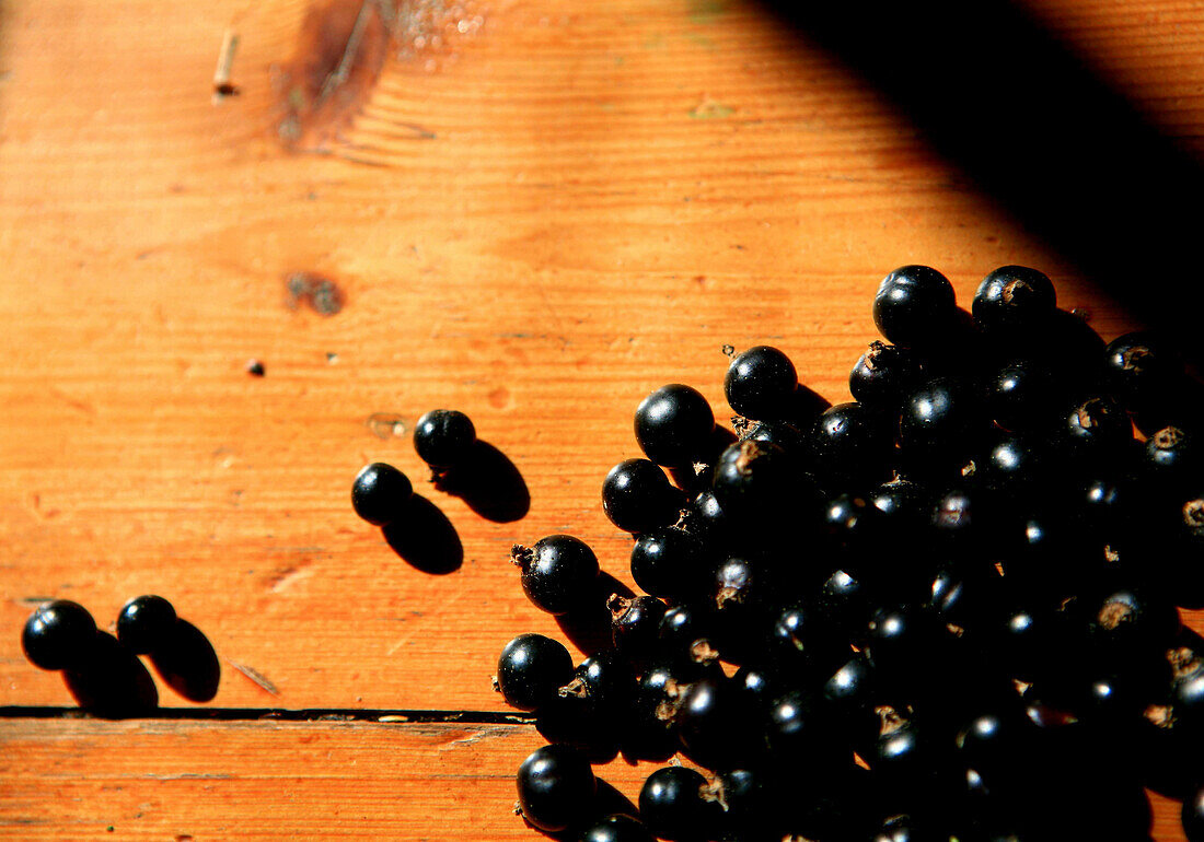 Schwarze Johannisbeeren auf Holz, Saimaa Seenplatte, Finnland, Europa