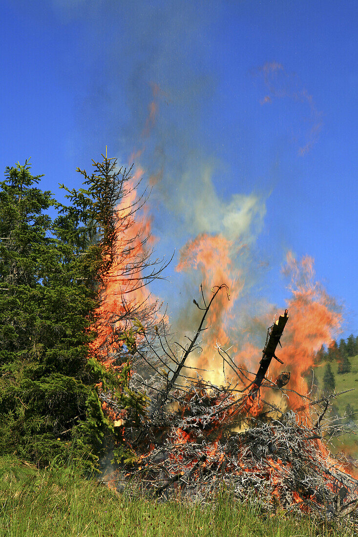 Cut down trees burning on an alpine meadow, Arzmoos, Sudelfeld, Bavaria, Germany, Europe