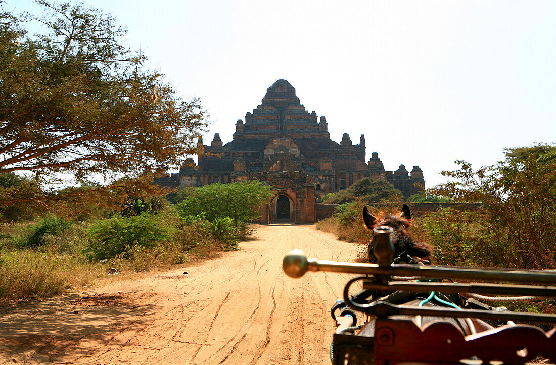 Horse-drawn carriage in front of the Dhammayangyi Temple in the sunlight, Bagan, Myanmar, Burma, Asia