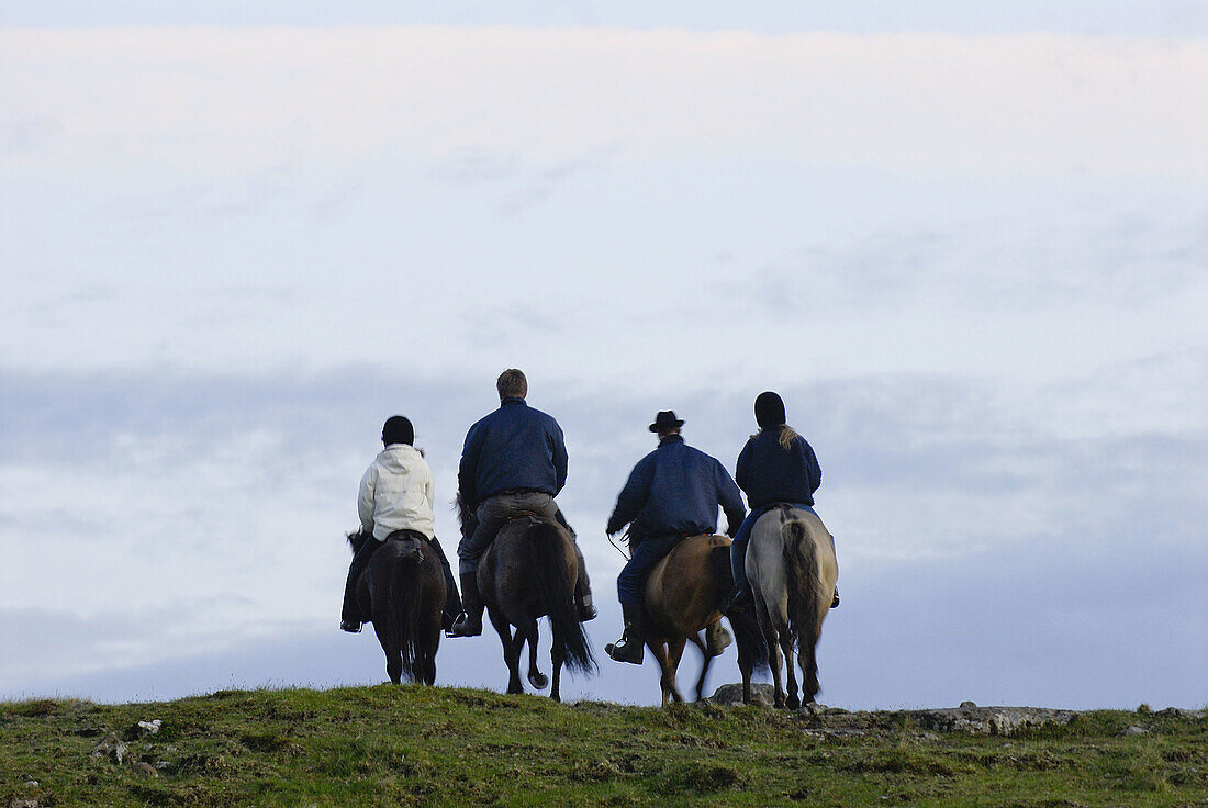 People riding horses, Streymoy. Faroe Islands, Denmark