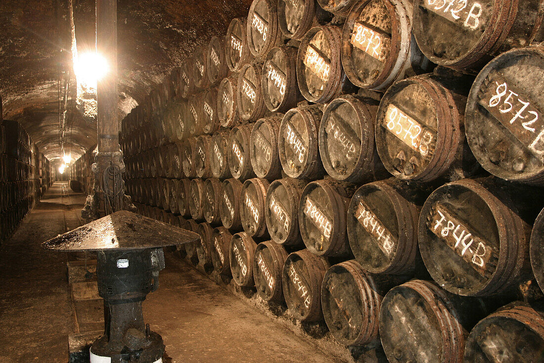 Old winery in Rioja wine region, Spain, Lopez Heredia cellar, Haro