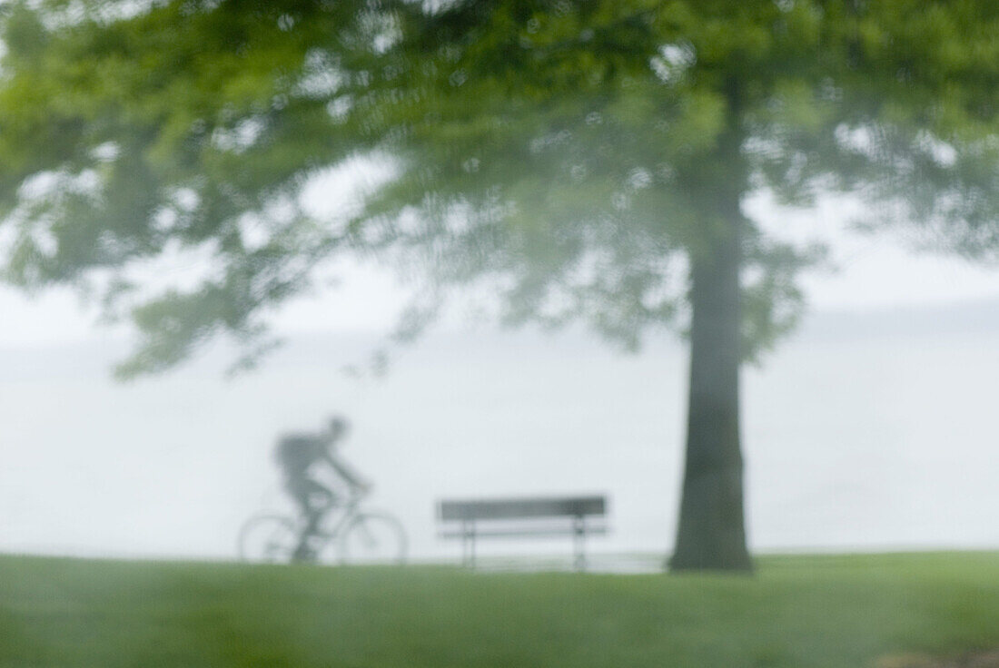 Bicyclist riding through waterfront park in the rain