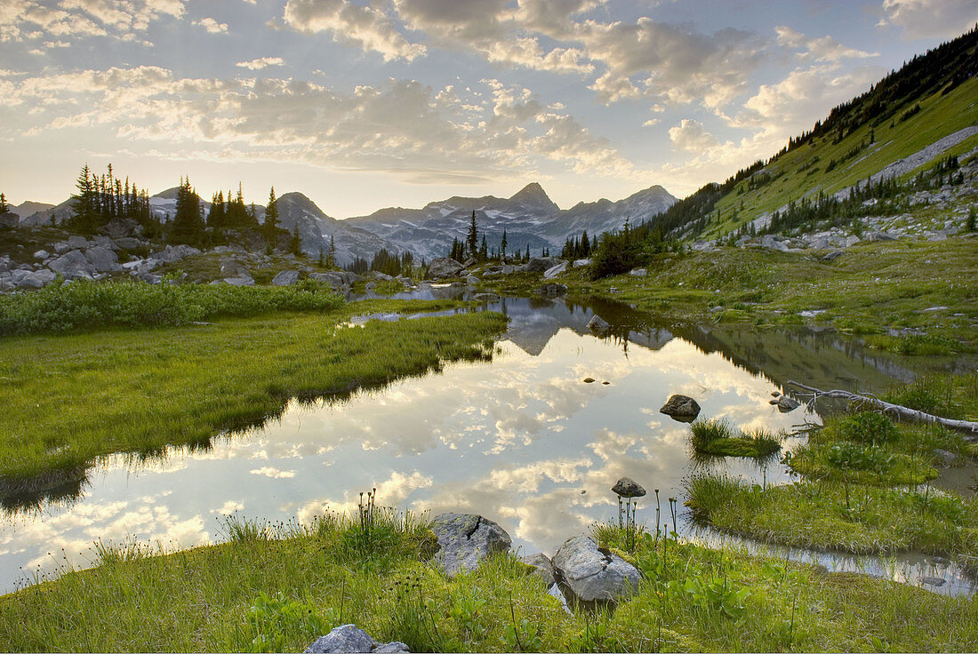 Stream flowing in an alpine basin of Mount Rohr, Coast Mountains British Columbia Canada