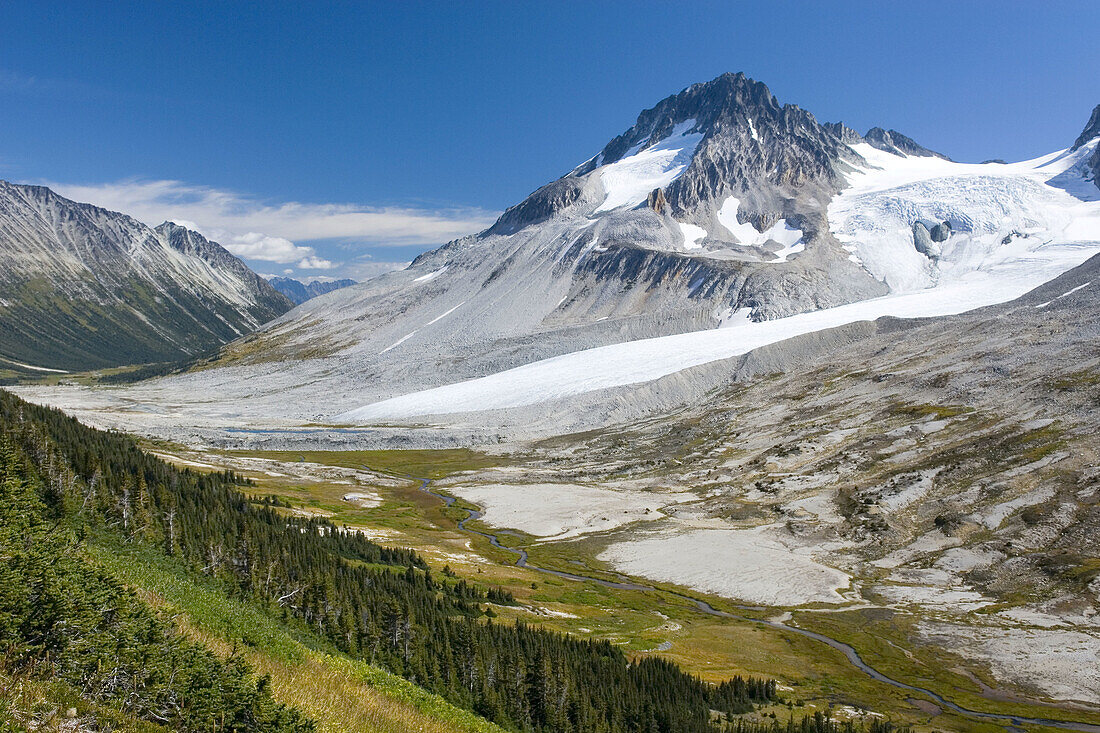 Late summer meadows below Salal Peak, Athelney Pass and Mount Ethelweard 2819 m 9249 ft are on the right Coast Mountains British Columbia Canada