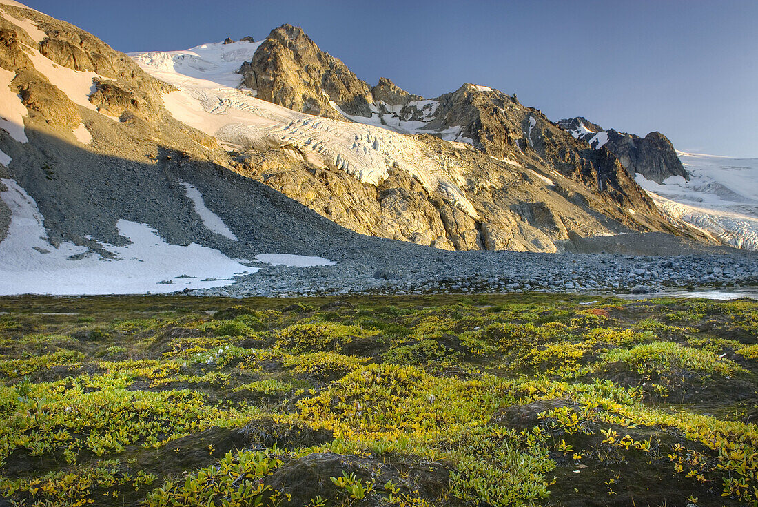 Glaciated Peaks of Boulder/Salal Divide near Athelney Pass In the foreground are mossy hummocks covered in low willow plants Coast Range British Columbia Canada