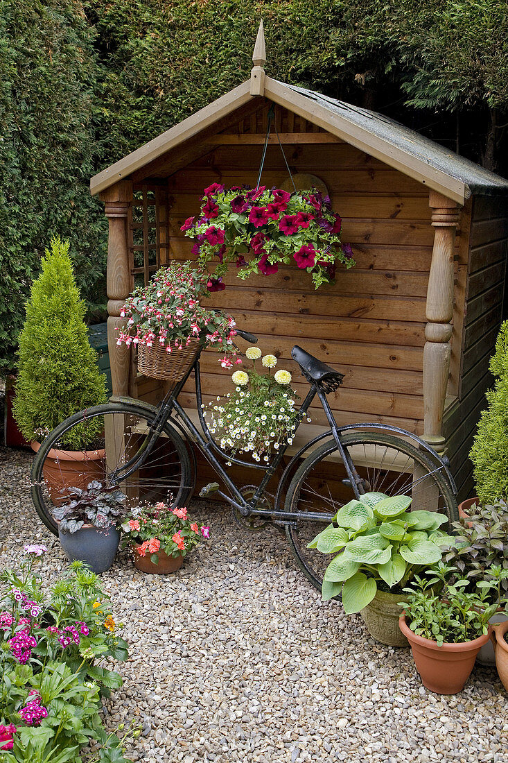 Old bike and flowers in Cottage Garden Norfolk