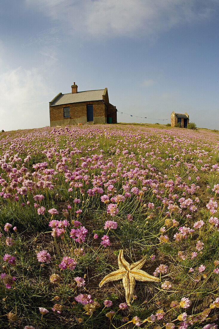 The Watch House Blakeney Point North Norfolk May