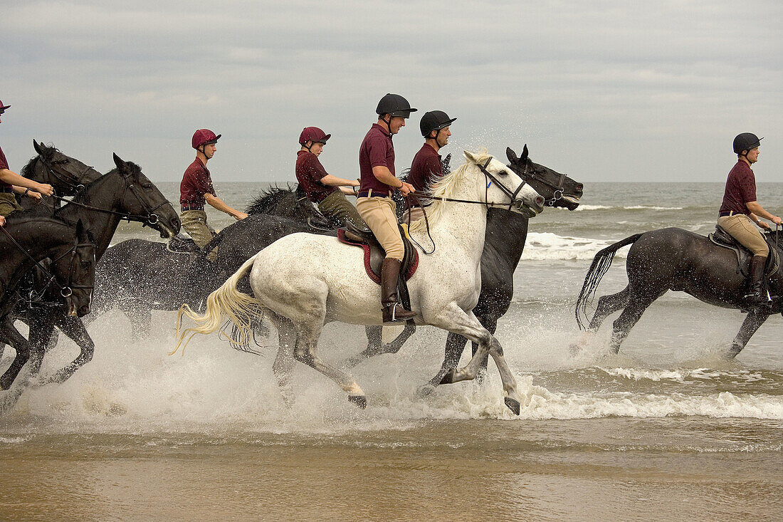 Household Cavalry at Holkham Beach Norfolk