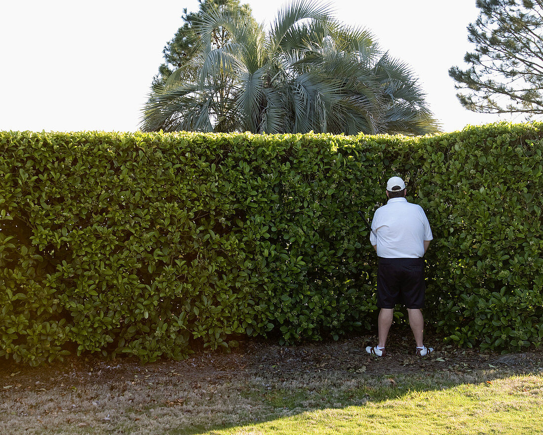 Adult, Adults, Alone, back view, break, break-time, breaks, Cap, Caps, Color, Colour, Contemporary, Daytime, exterior, Full body, Full length, Full-body, Full-length, Golf course, Golf courses, Hat, Hats, Headgear, Hedge, Hedges, human, Male, Man, Men, On