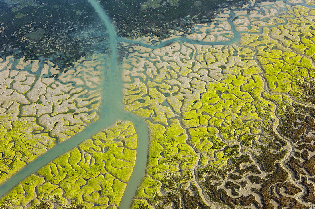 Aerial view on marshlands, Bahia de Cadiz Natural Park. Costa de la Luz, Cadiz province, Andalucia, Spain