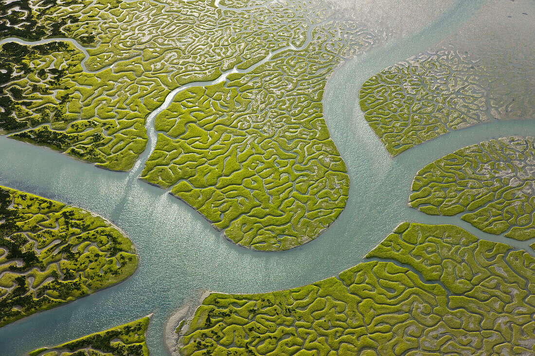 Aerial view on marshlands, Bahia de Cadiz Natural Park. Costa de la Luz, Cadiz province, Andalucia, Spain