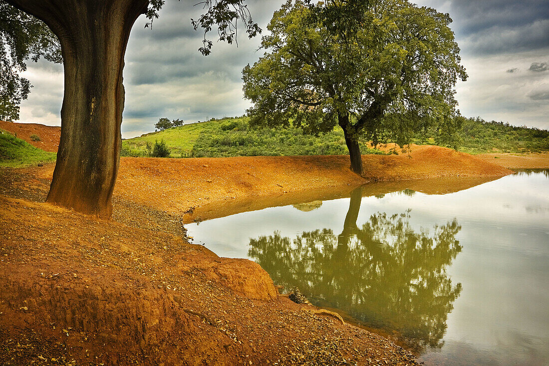 Paisaje en las antiguas minas del Cerro del Hierro, Sevilla, Spain