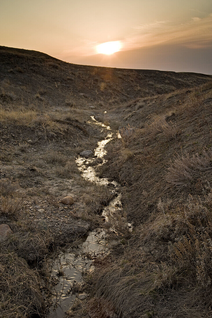 Spring runoff stream in semi arid environment in Red Rock Coulee at sunrise