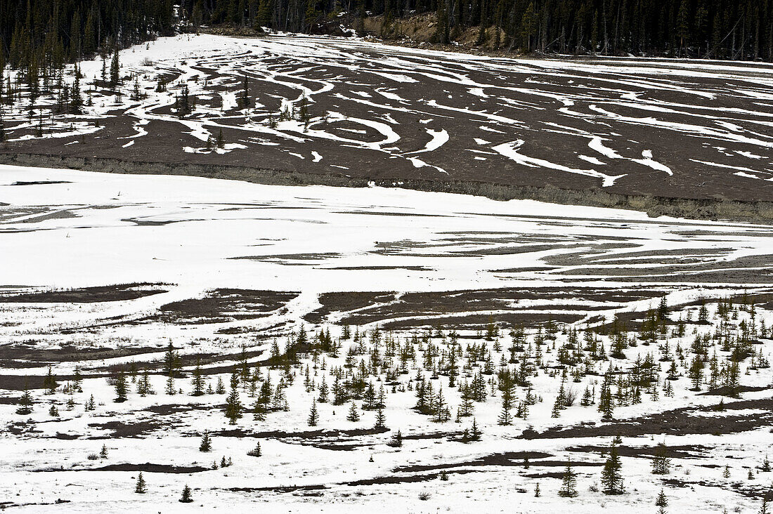 Snow patterns on glacial moraine gravel beds near the Columbia Icefields