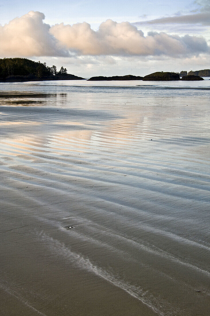 Reflections in wet sand at low tide on MacKenzie Beach