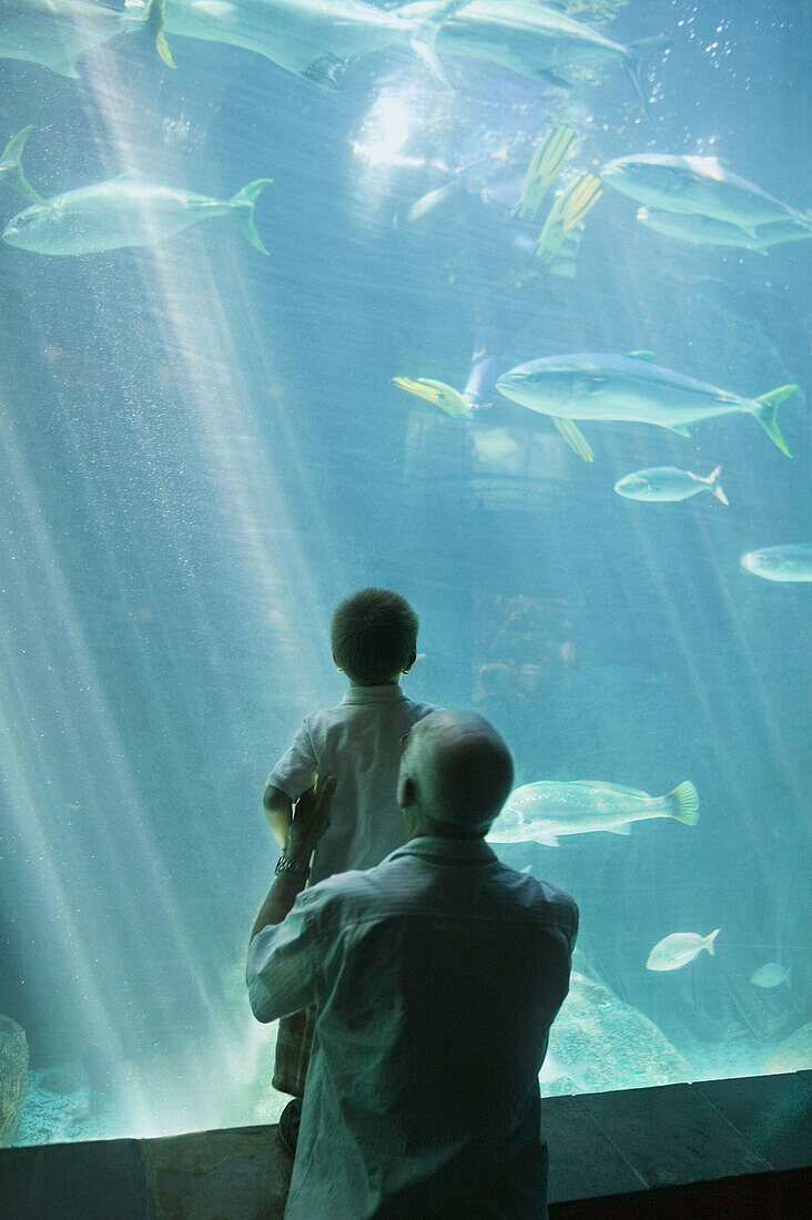 Grandfather & 3y/o grandson visiting the aquarium