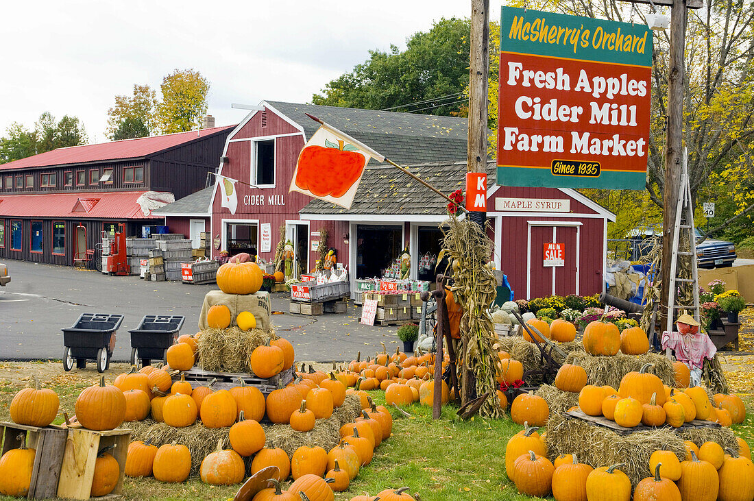 McSherrys Orchard with pumpkins and fall decor in Conway, New Hampshire, USA