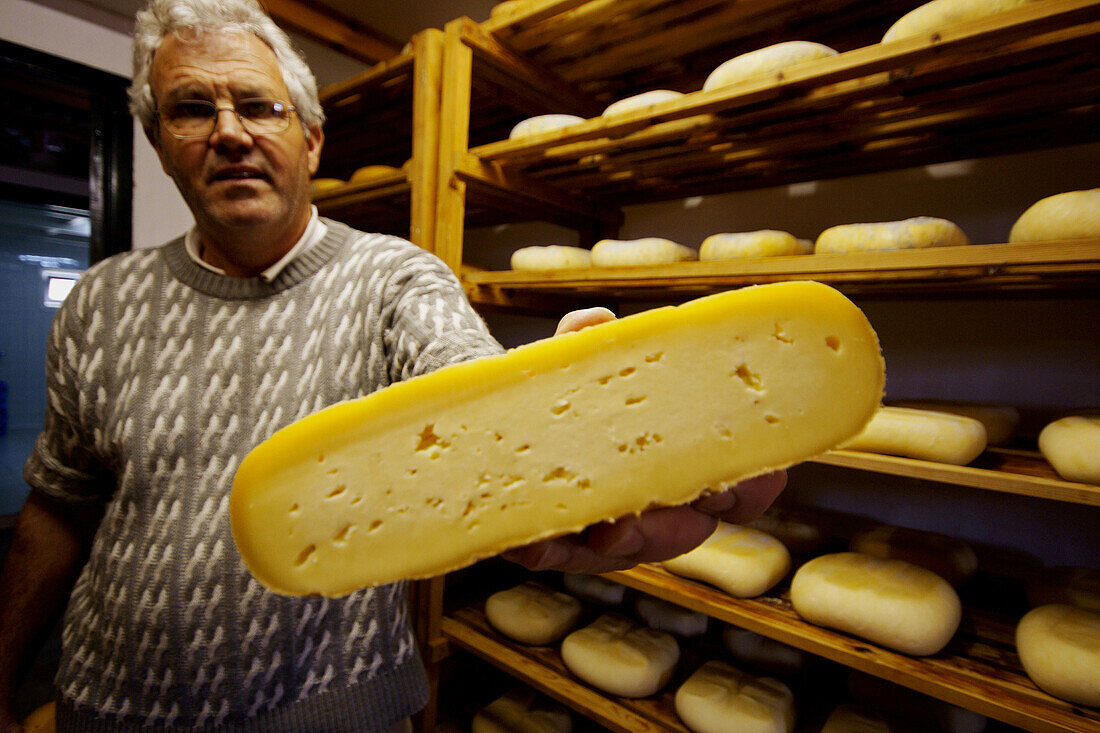 Ökologischer Käse aus der Milch einer lokalen Rinderrasse, typischer Bauernhof Algendaret Nou. Mao, Menorca, Balearische Inseln, Spanien