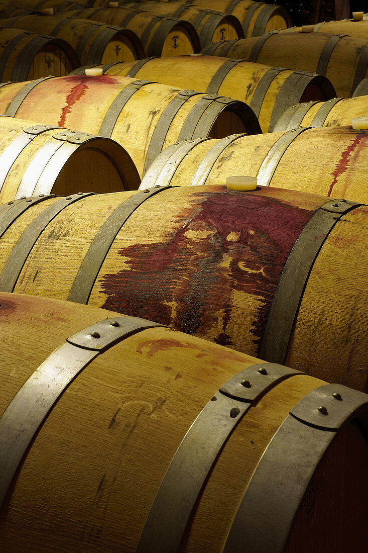 Weinkellerei Binifadet, Sant Lluis. Menorca, Balearen, Spanien